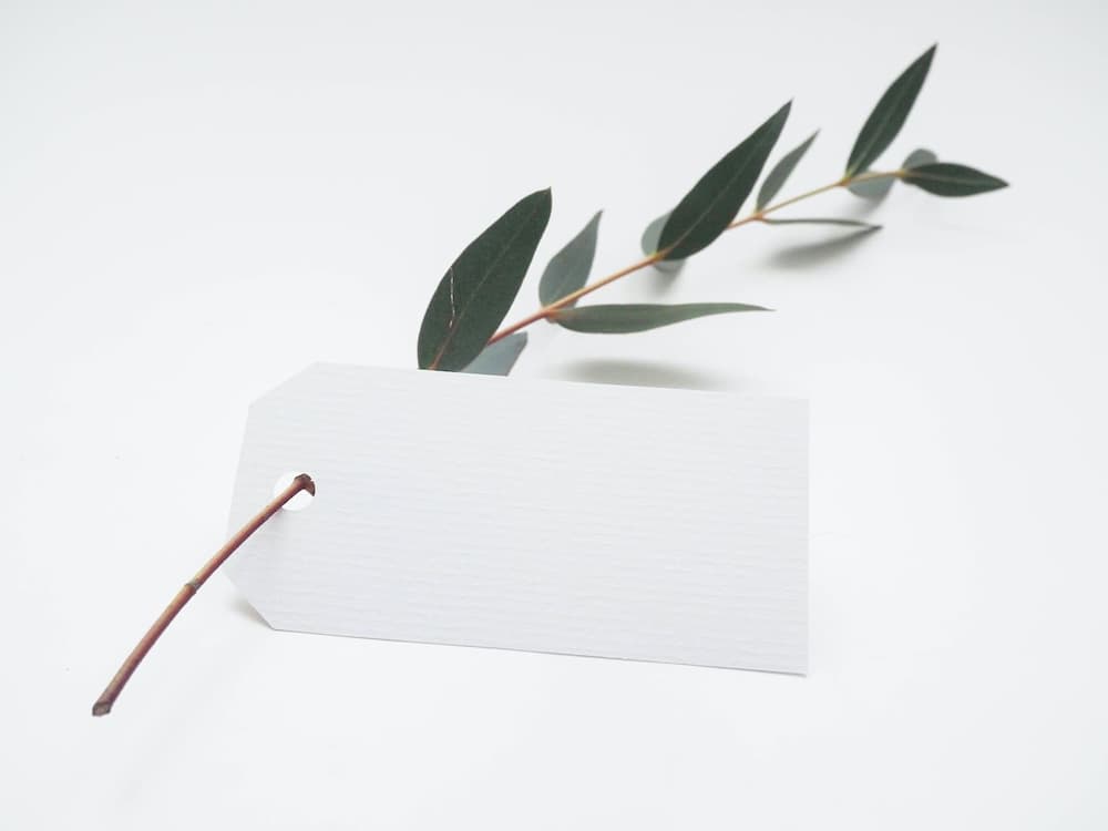 Featured image of post 总结