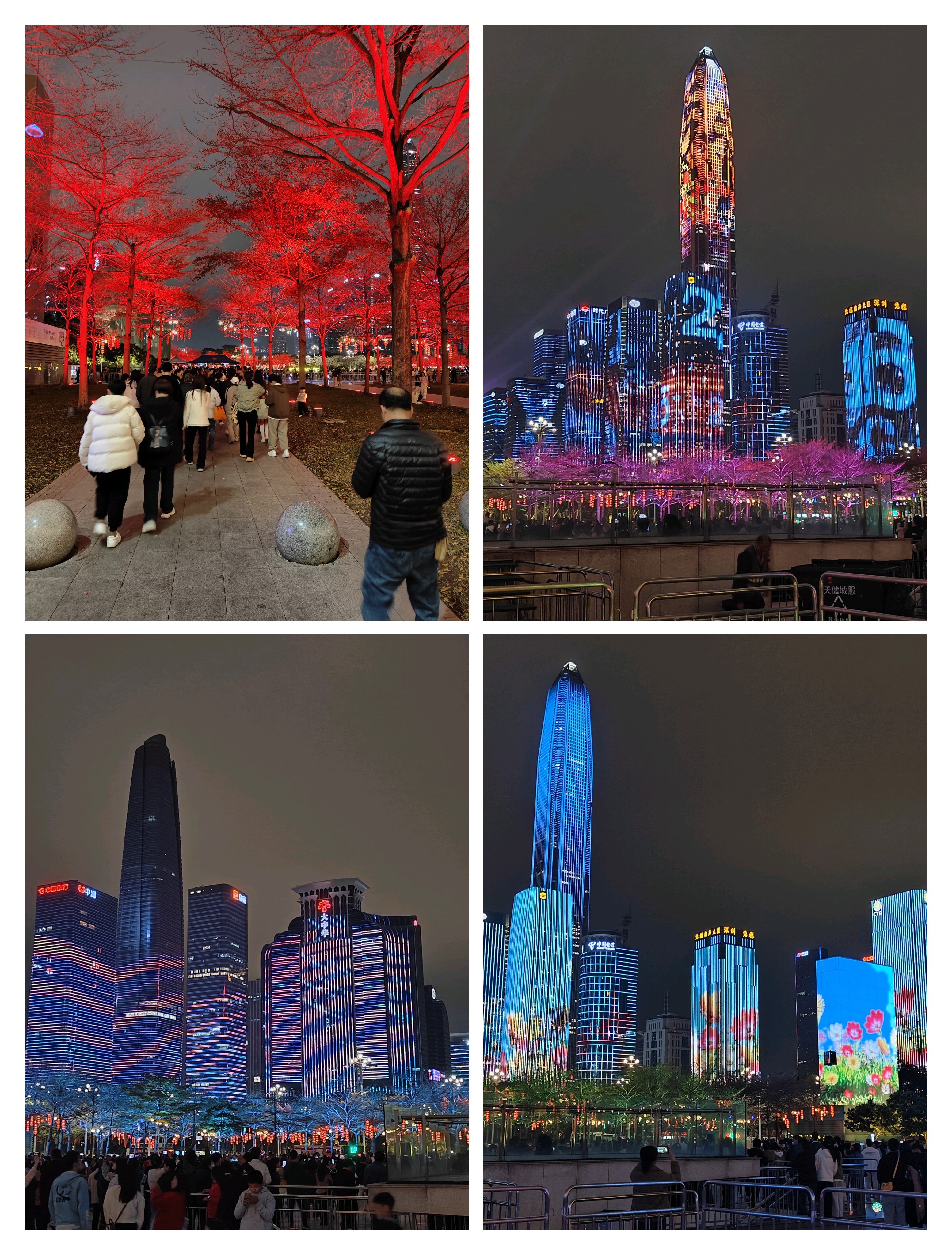 2024年度总结
