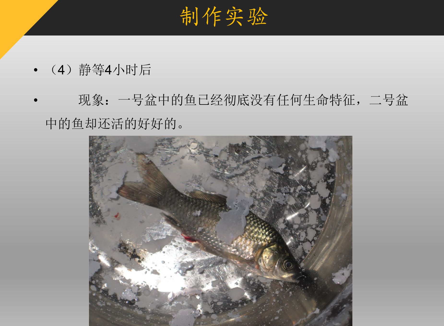 图片14